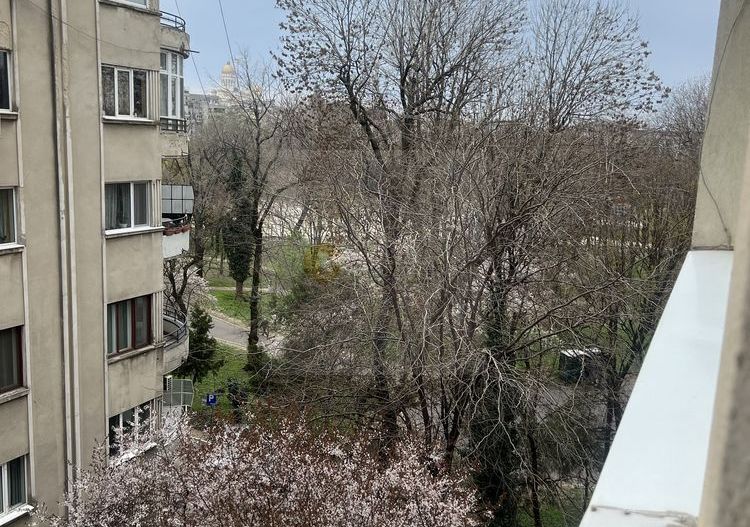 Decomandat | Cişmigiu | Necesită Renovare | Fara Risc - Poză 5