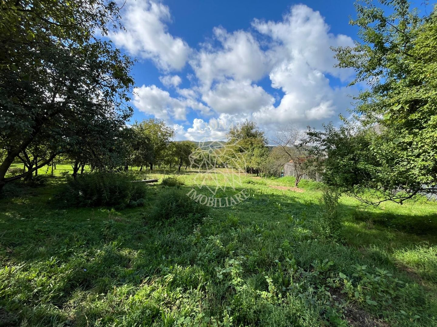 2 Case 109 mp-teren 3182 mp-anexe-Nimigea de Sus, 17 km de Nasaud - Poză 8