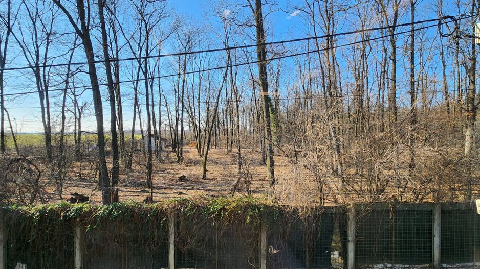 Vila individuala strada Radarului la padure - Poză 10