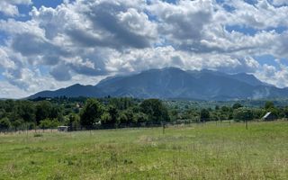 INVESTIȚIE | Teren 5000 mp PUZ APROBAT intravilan - zona Sohodol -Bran - Poză 1