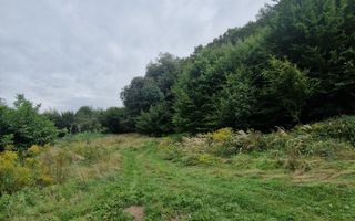 Teren Intravilan de vanzare Bistrita | 795 mp, priveliște panoramică - Poză 5