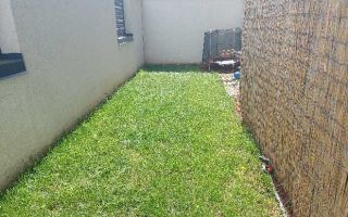 Cat friendly | 3 camere | Pipera – Voluntari | Curte proprie | Parcare - Poză 8