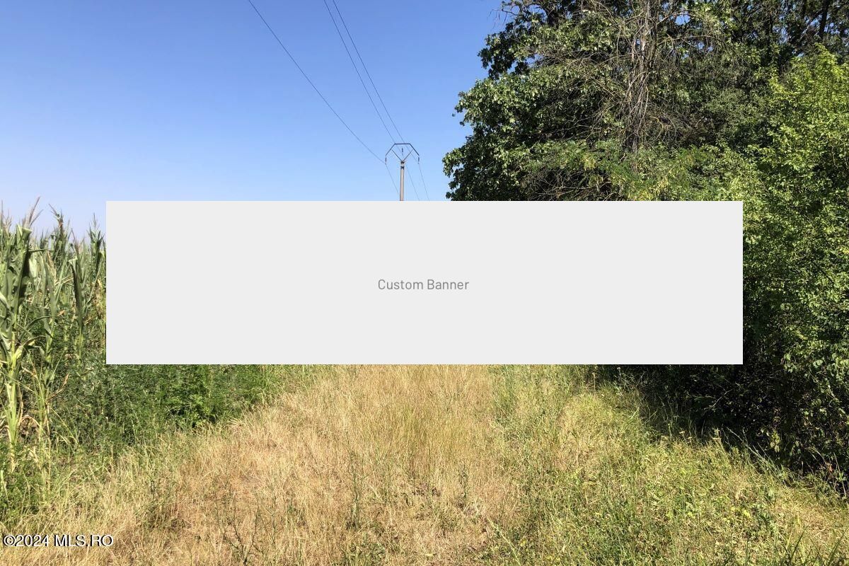 Moara Vlasiei - langa Padurea Biglaru, 11.884 mp, deschidere 40 ml - Poză 10