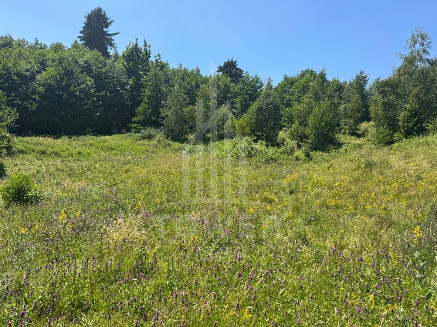 Teren intravilan 4600mp - 55 EUR/mp - EXCLUSIVITATE CISNADIOARA - COMISION 0% - Poză 6