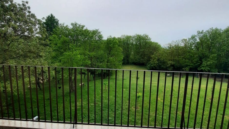 CASA DE 263MP, TEREN DE 8142M2 IN OARDA DE SUS LA 350.000, NEGOCIABIL - Poză 14