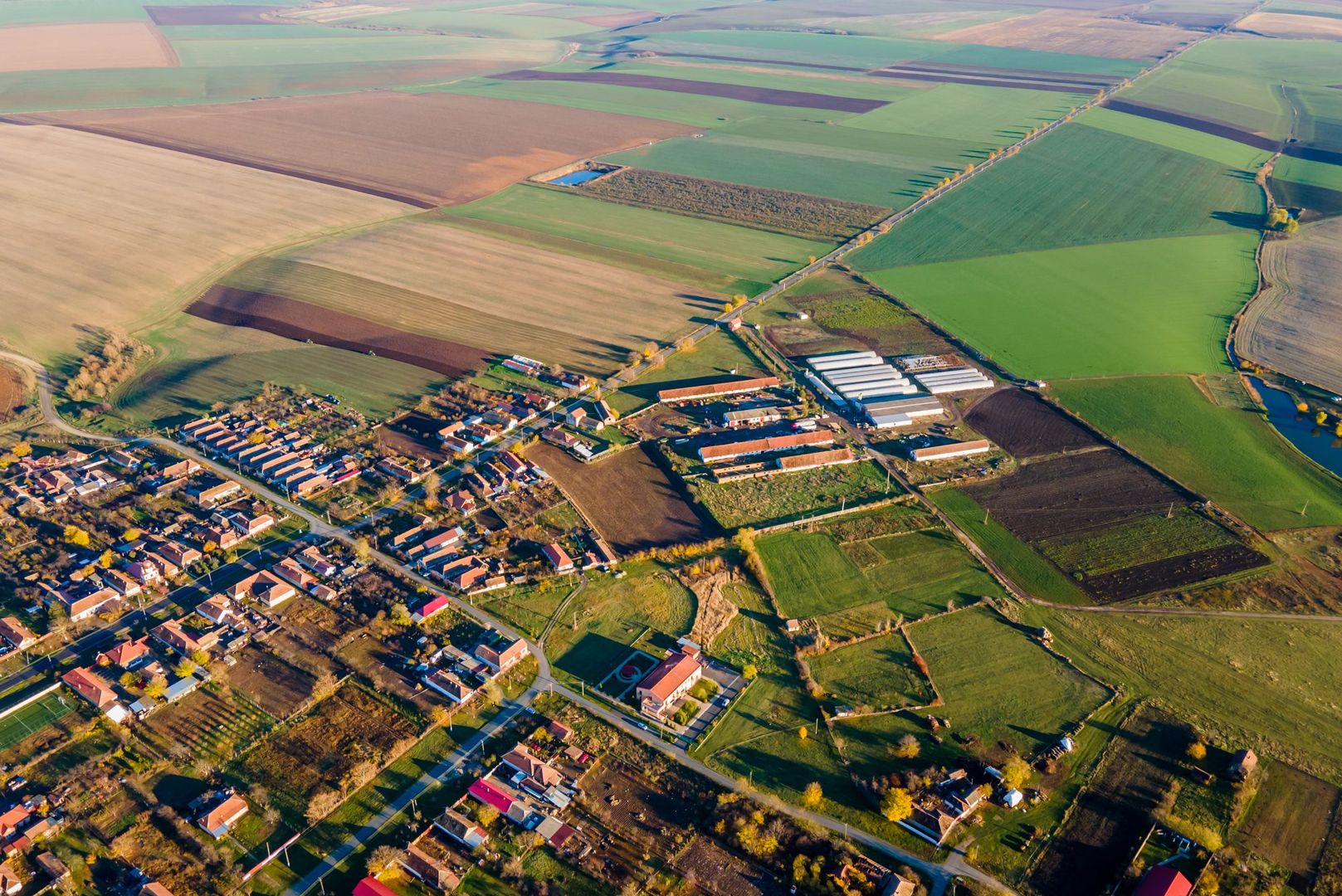 Teren agricol 130 ha Cruceni - Poză 1