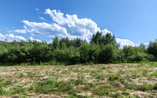 1,3 HA TEREN EXTRAVILAN FANEATA, in Muntii Apuseni, Negreni, jud. Cluj - Poză 2