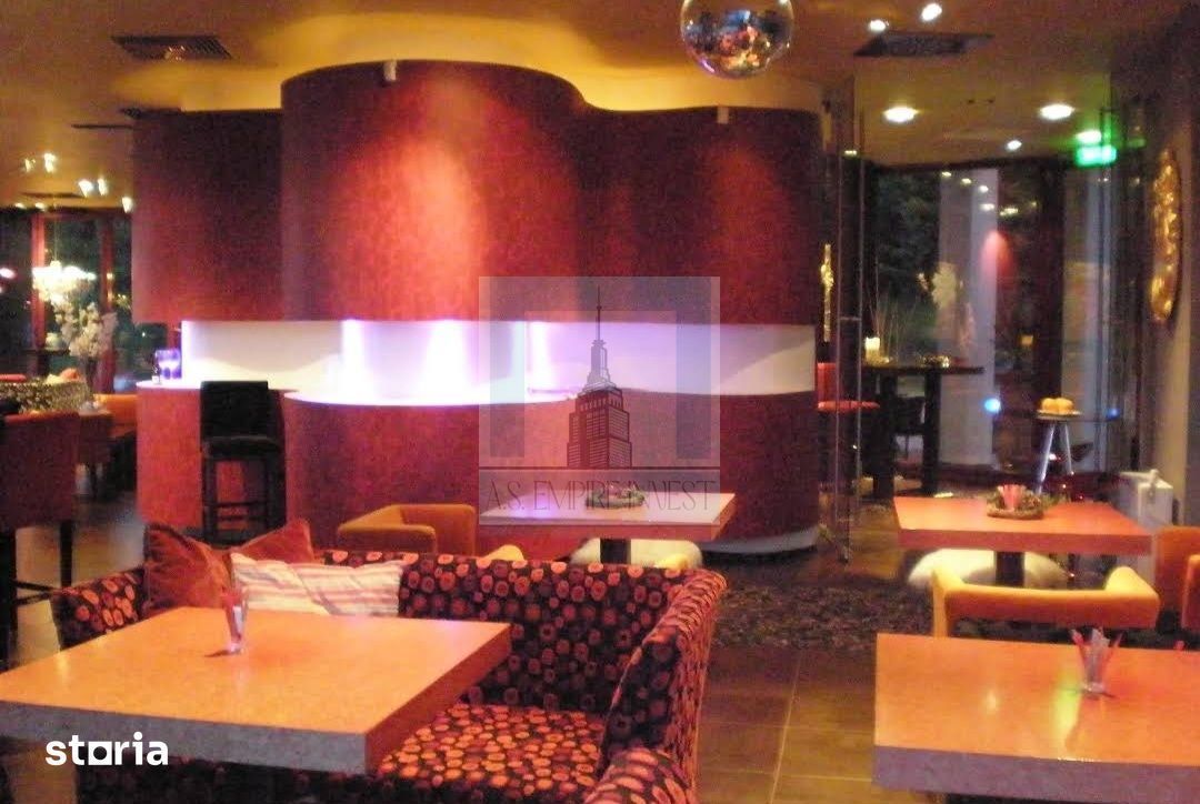 Villa de LUX - Comercial / Rezidential - zona Cioplea/Predeal - Poză 3