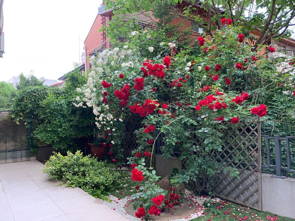 Apartament luminos si spatios renovat in zona Herastrau - Poză 13