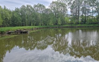 CASA 3 CAMERE, TEREN 6200 MP + 2 LACURI, CAMPULUNG, NAMAIESTI - Poză 12