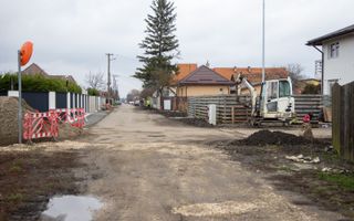 Loturi de teren, suprafete intre 467 si 535 mp, PUZ, Stupini, Albinelo - Poză 10