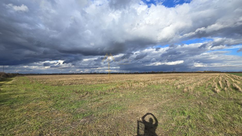 Satu Mare, Oportunitate pentru dezvoltatori, Teren generos parcelat - Poză 8