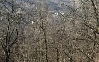 Teren intravilan 2788 mp deschidere 55 ml cu vedere panoramica ! - Poză 20