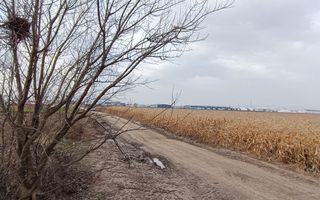 Teren intravilan industrial,str.Durau - Poză 7