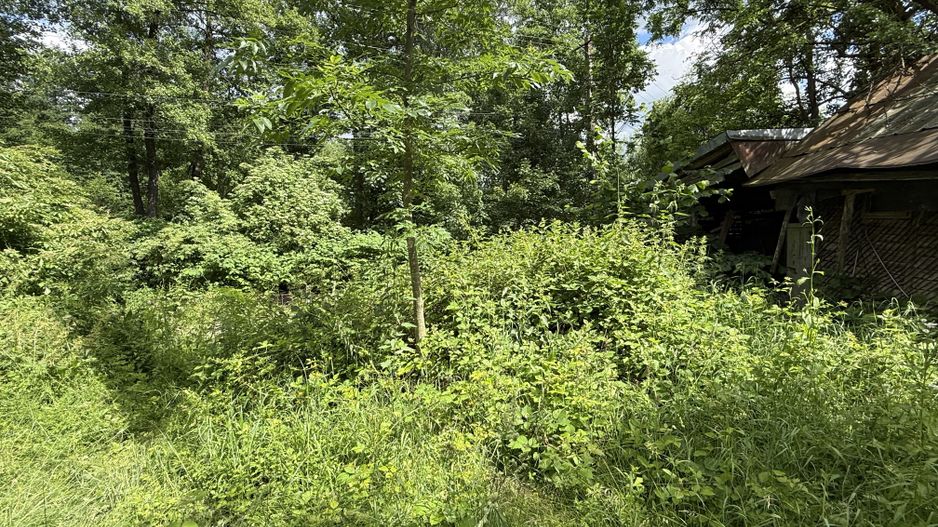 Teren intravilan 683 mp deschidere la strada asfaltata ! - Poză 2