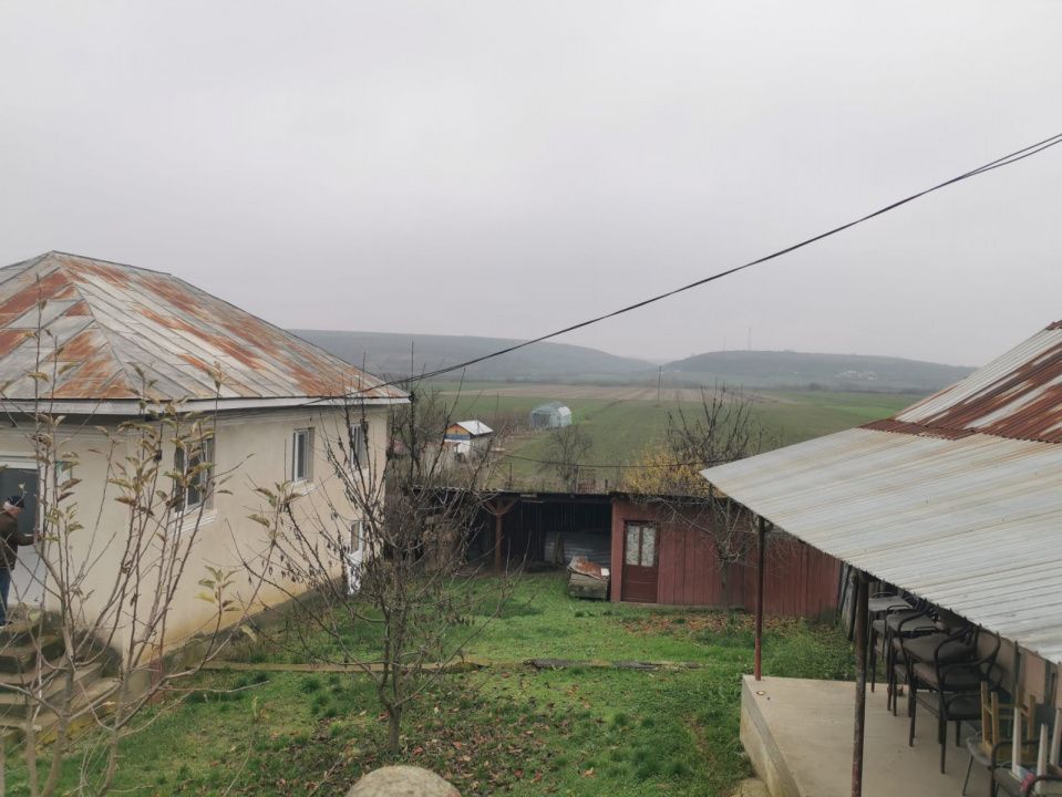 De vanzare casa in Argetoaia cu teren 7.000 mp - Poză 4