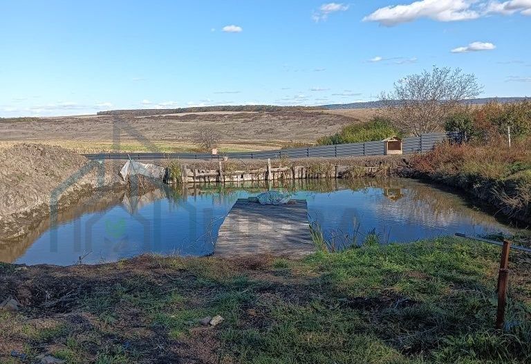 2 iazuri de vanzare - Poză 1