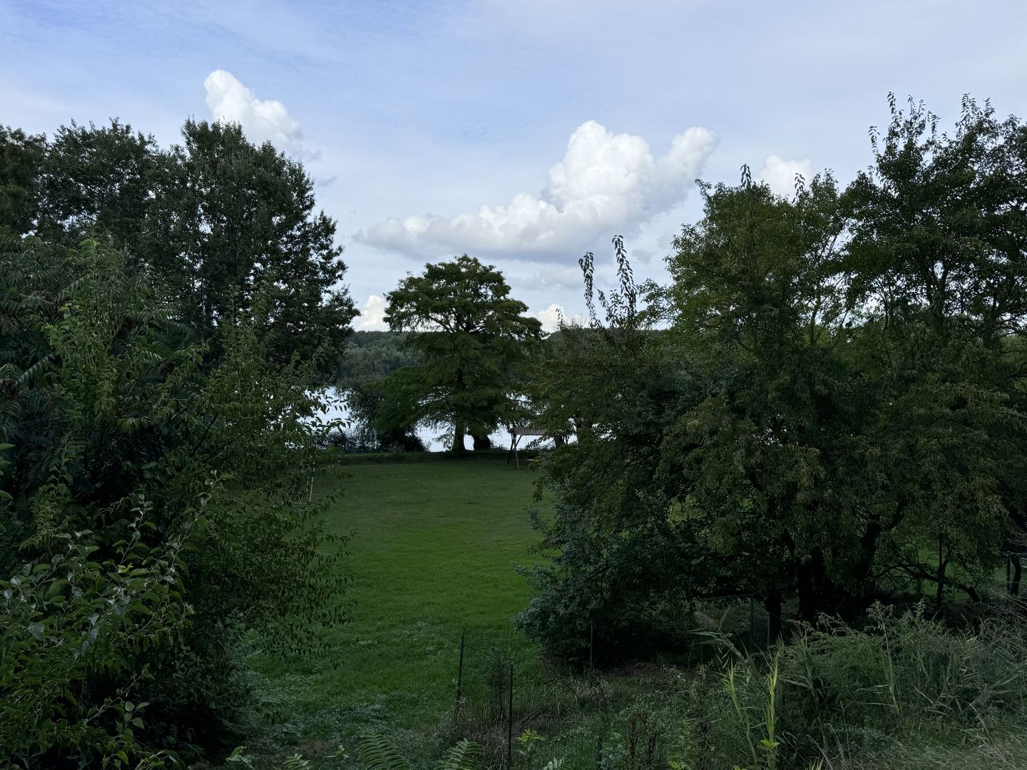 Hotel 25 camere 100 m deschidere DELTA DUNARII teren 12000 mp acces auto - Poză 29