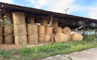 Fermă Sărand | Bihor | 25.659 mp teren intravilan - Poză 15