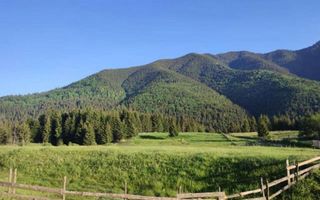 Teren PIATRA FANTANELE - 11.800 mp- ideal investitie, pensiune, hotel - Poză 2