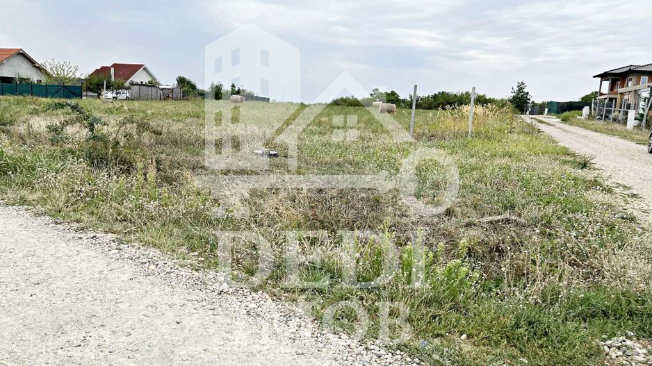 Teren 500 mp de vanzare in Paleu, Bihor - Poză 4