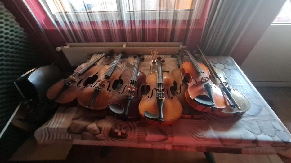 Vilă cu studio muzical și 7 camere – Calea Severinului, Târgu Jiu - Poză 8
