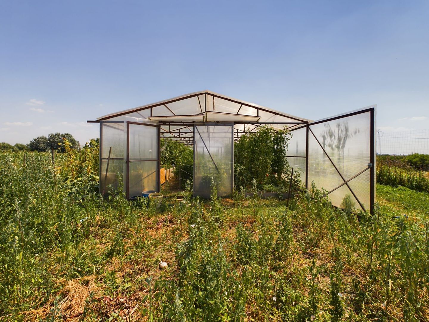 TEREN EXTRAVILAN  CU SOLAR IN GAI - Poză 4