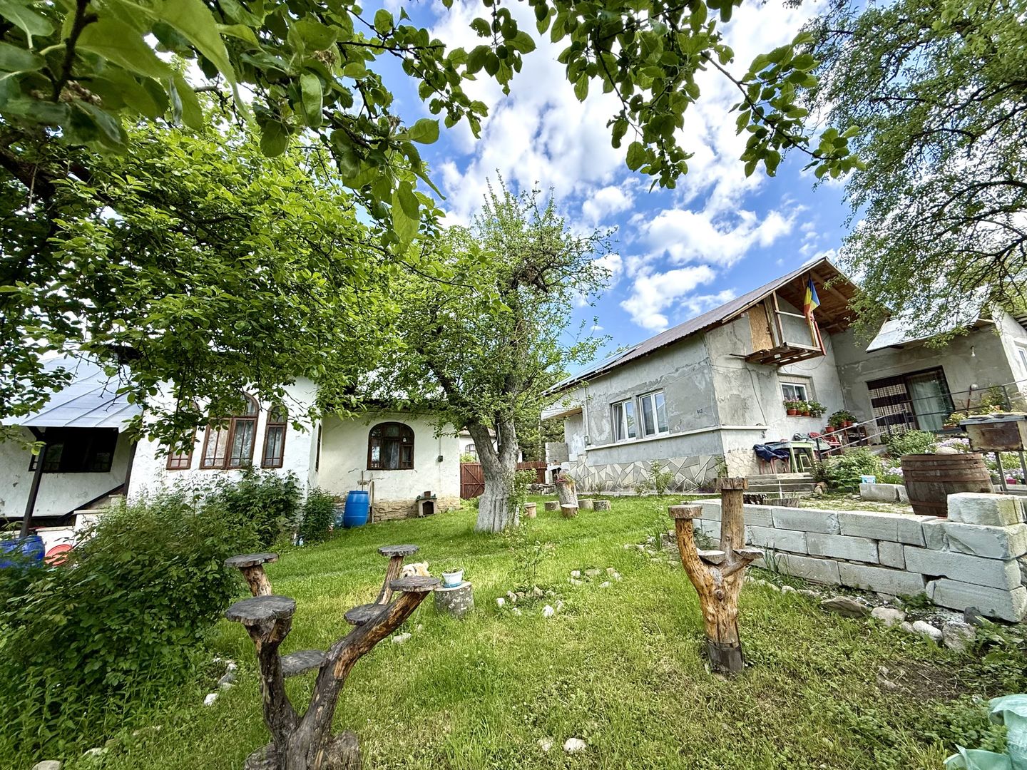 2 Case + teren 1390 mp langa parcul central Provita de Sus - Poză 3
