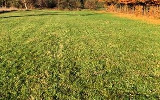 Teren intravilan in cartier Tocile comuna Sadu jud. Sibiu - Poză 5