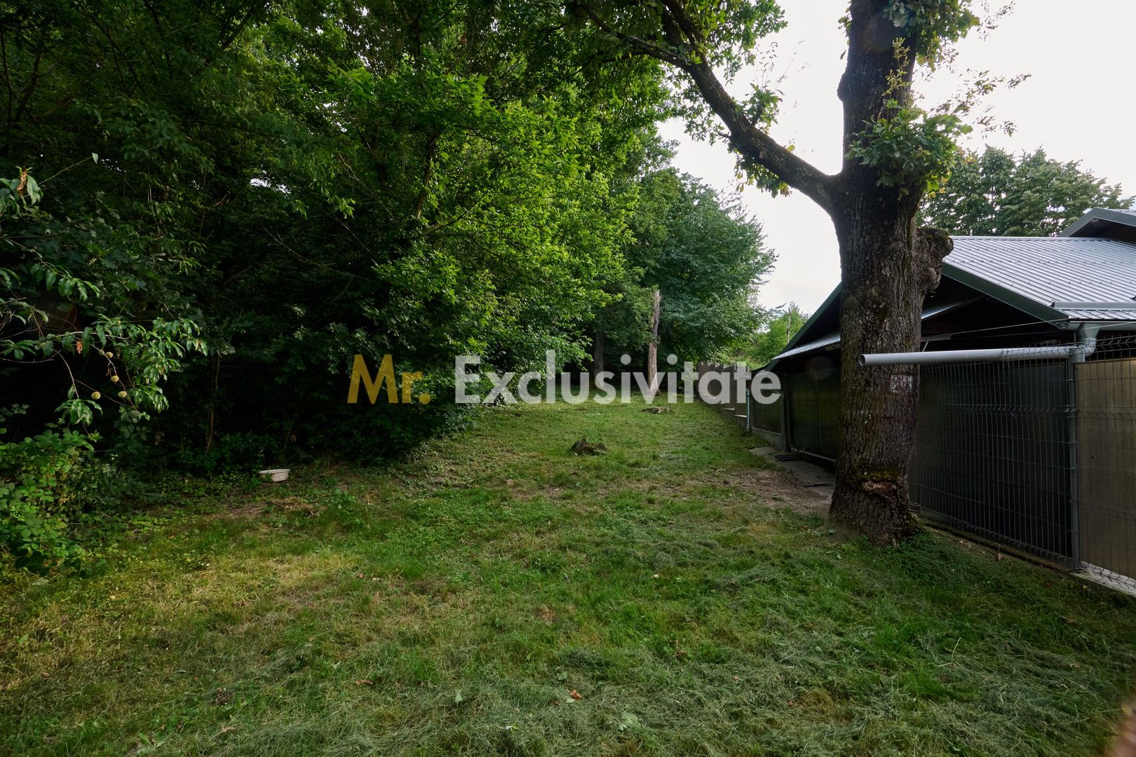 Casă rară în Găvana | Vecină cu pădurea, aproape de toate facilitățile - Poză 16