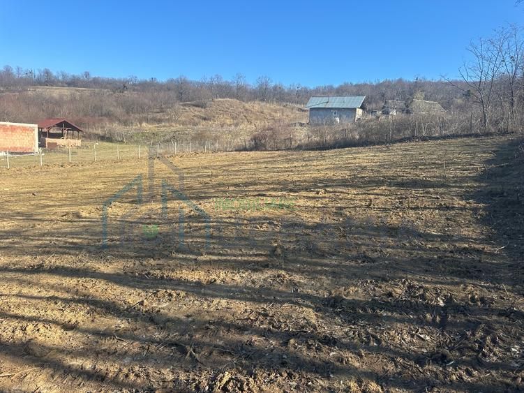 Teren interval Vladiceni - Poză 5