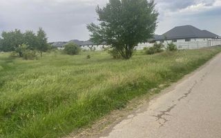 Teren 5.000 mp | Tamași – Corbeanca | Lângă Pădure | Utilități - Poză 2