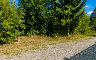 TEREN INTRAVILAN 744 MP | VALEA AVRIGULUI | IDEAL PENTRU CABANĂ - Poză 16