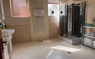 Vila deosebita 11 camere Erou Iancu Nicolae - Poză 13