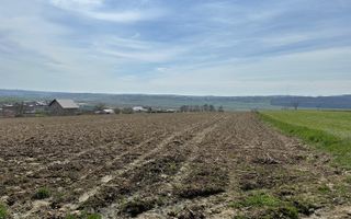 Teren De Vanzare I Patrauti Suceava I Pret: 15€ /mp - Poză 4