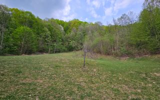 Teren intravilan 1454 mp la marginea padurii zona locuita de case! - Poză 11