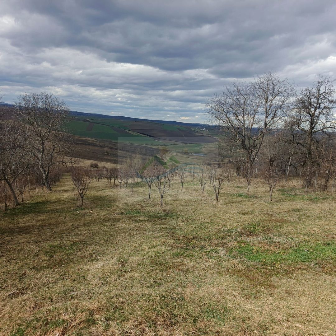 Teren intravilan de vânzare Horodniceni Suceava - Poză 4