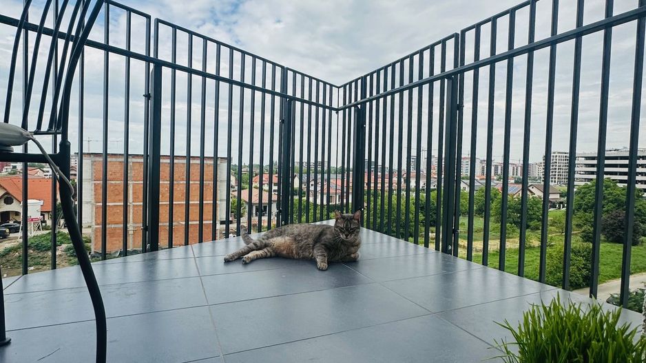 2 camere - NORD - boxa + loc parcare - Poză 11