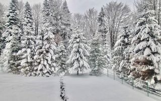 Casa de vacanta la liziera padurii cu vedere libera catre muntii Bucegi - Poză 12