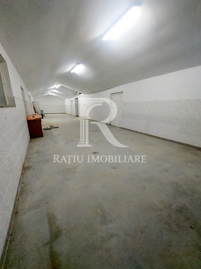 Hala Constructie Caramida | Ineu | Bihor - Poză 2