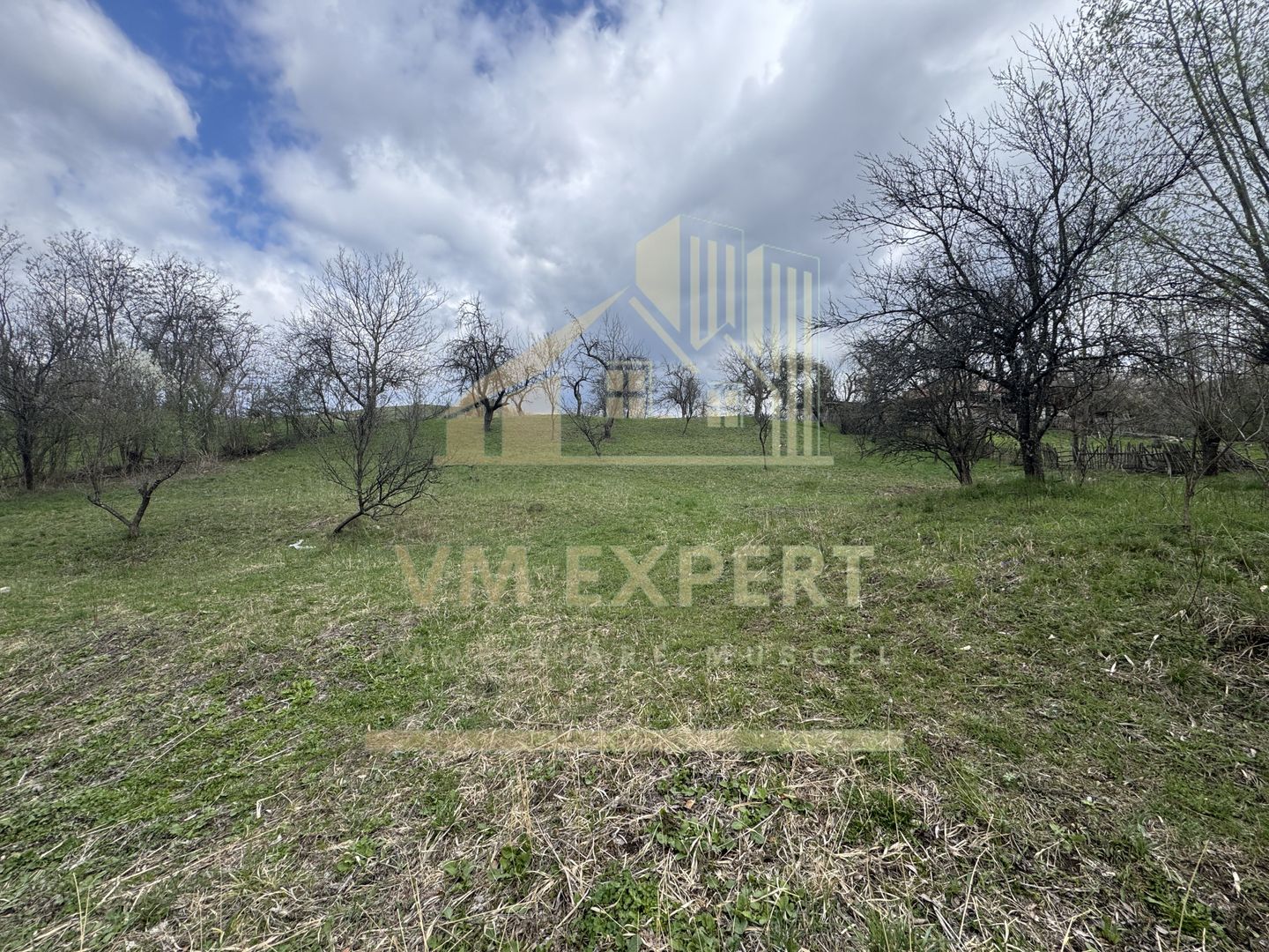 TEREN INTRAVILAN 4365 MP POENARII DE MUȘCEL  JUDEȚUL ARGES - Poză 3