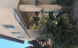 Casa de vânzare  str Kaffka Margit - Poză 3