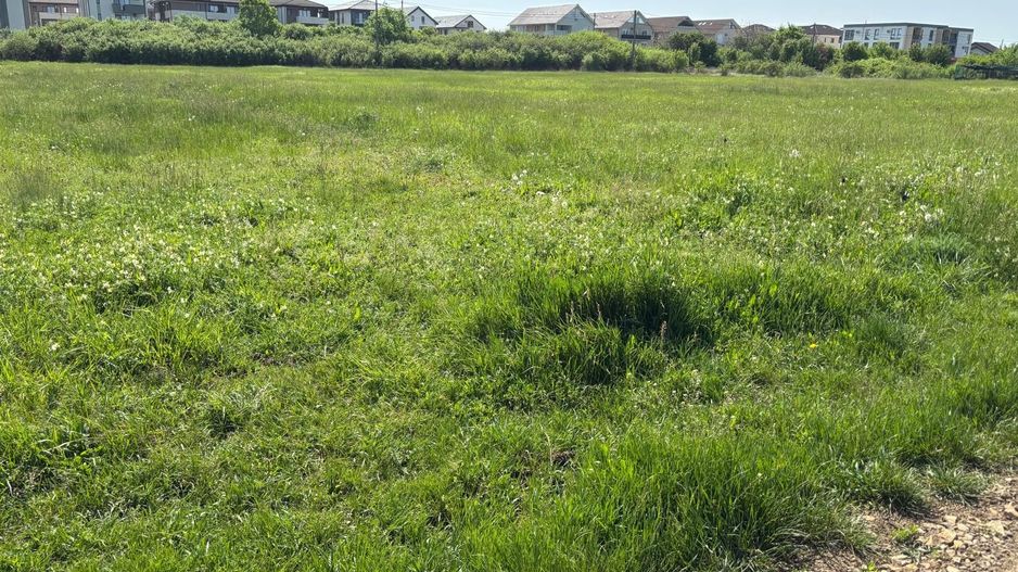 Teren 1239 mp front 29 in Aradul nou - Poză 6