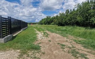 0% Comision!!! Teren intravilan Smeura - str Prunilor! - Poză 4