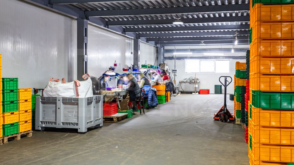 Vânzare, spatiu industrial, 2125 mp, strada Calarasilor, Călărași - Poză 31