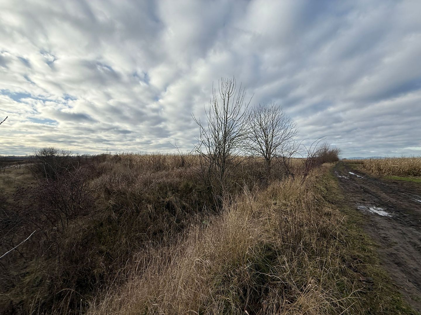 VAND TEREN 46 ARI | VOLOVAT | 47.000 EURO | - Poză 4