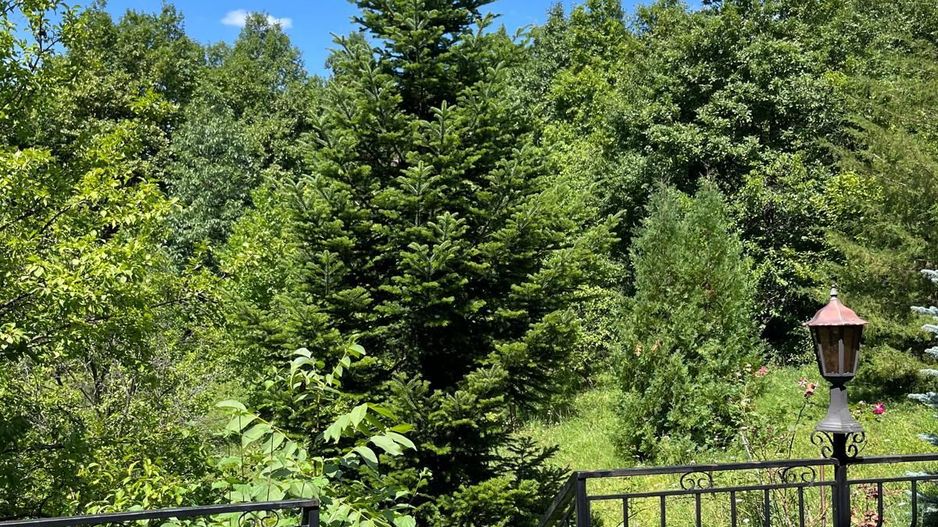 Duplex, Valenii de Munte, Drajna de Sus - Poză 13