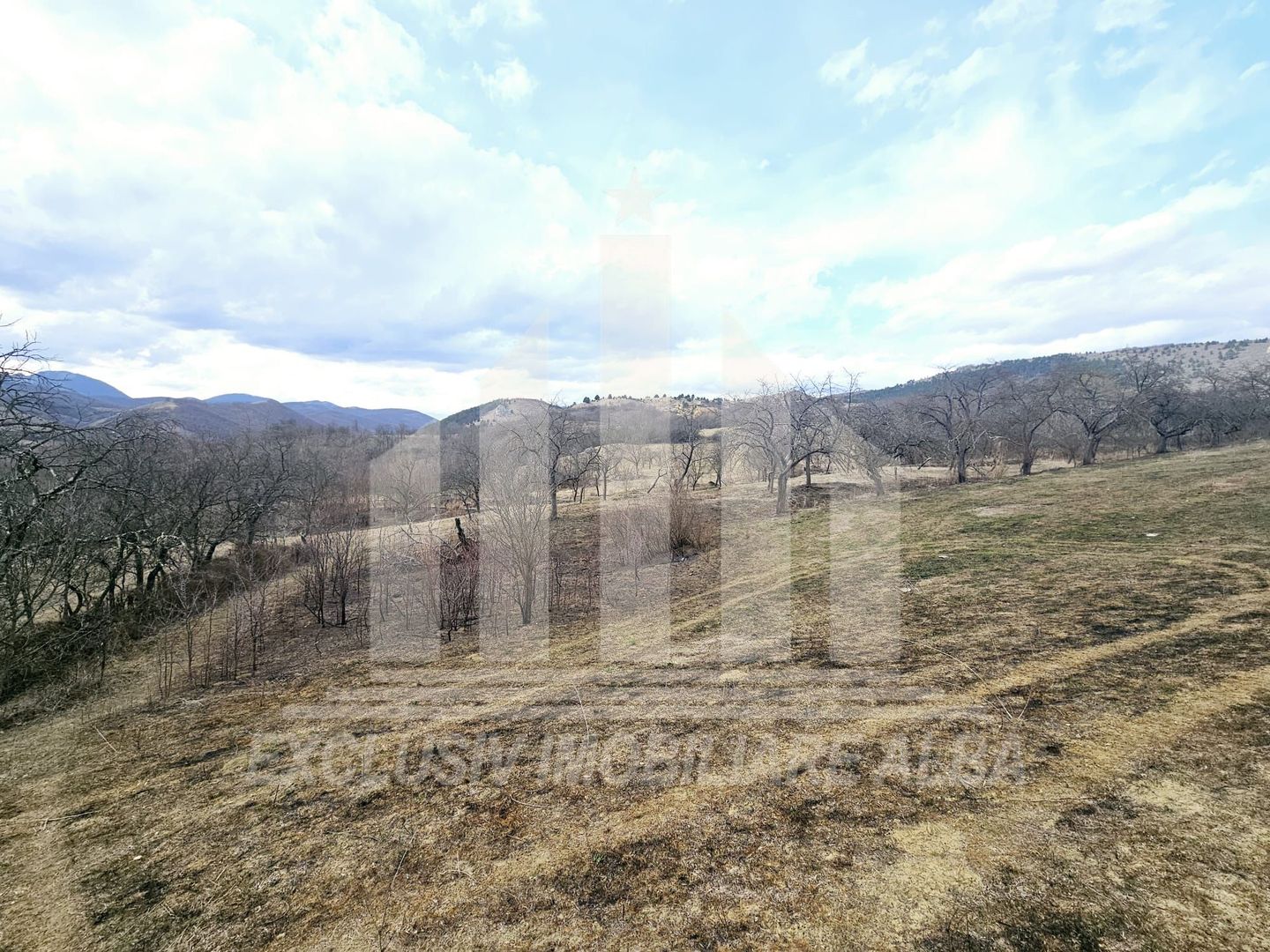 Teren intravilan de vanzare, Geogiu de Sus - Poză 4