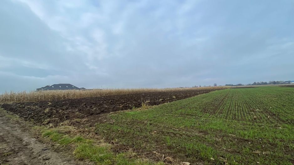 TEREN EXTRAVILAN 13 ARI | FRONT STRADAL 13 M | MARGINEA - Poză 7