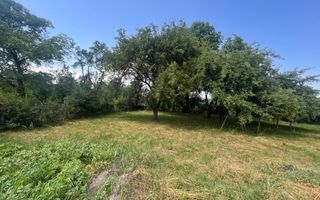 GRADINA BUNICII DE ODINIOARA,DE VANZARE -PAPAUTI,COVASNA. - Poză 8